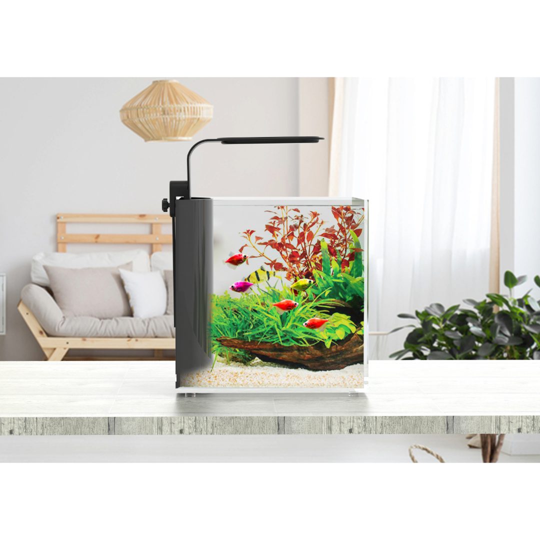 YauBay Day & Night LED, With Fixture
