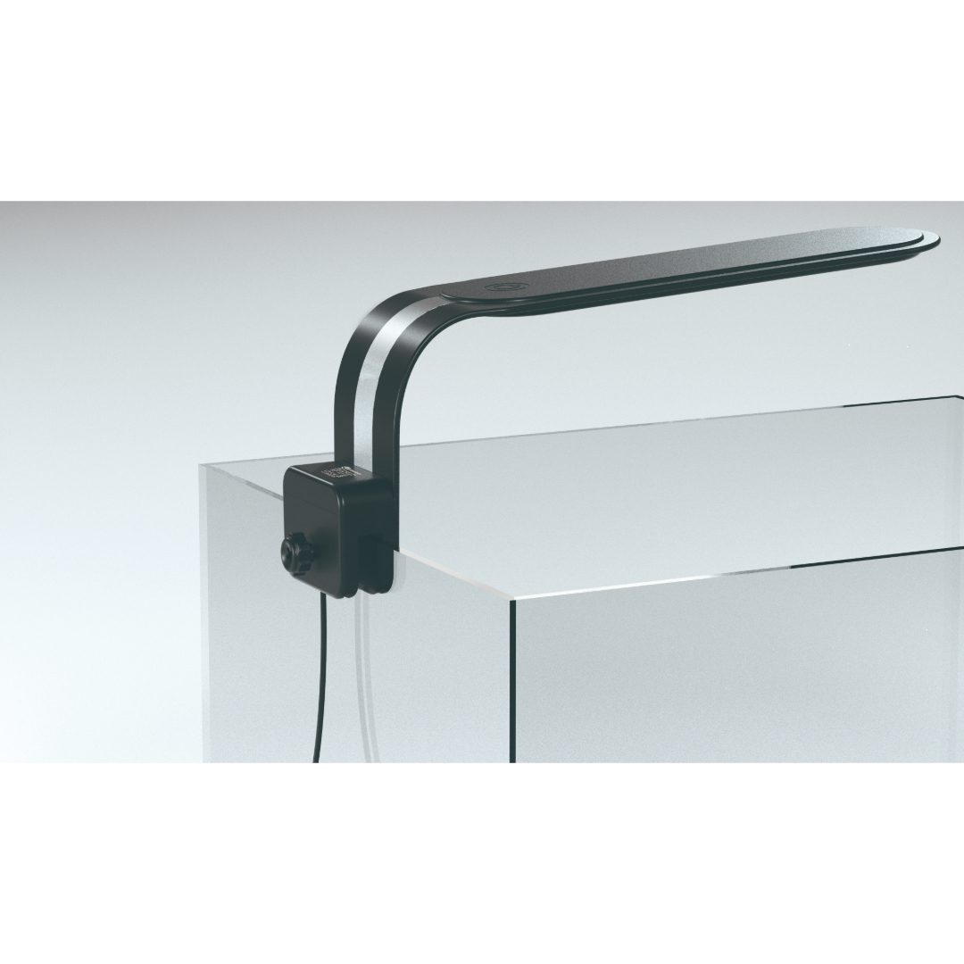 YauBay Day & Night LED, With Fixture