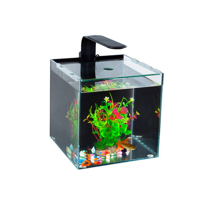 YauBay Day & Night LED With Fixture 5w CL01-F05 | Reptile Vivarium Light