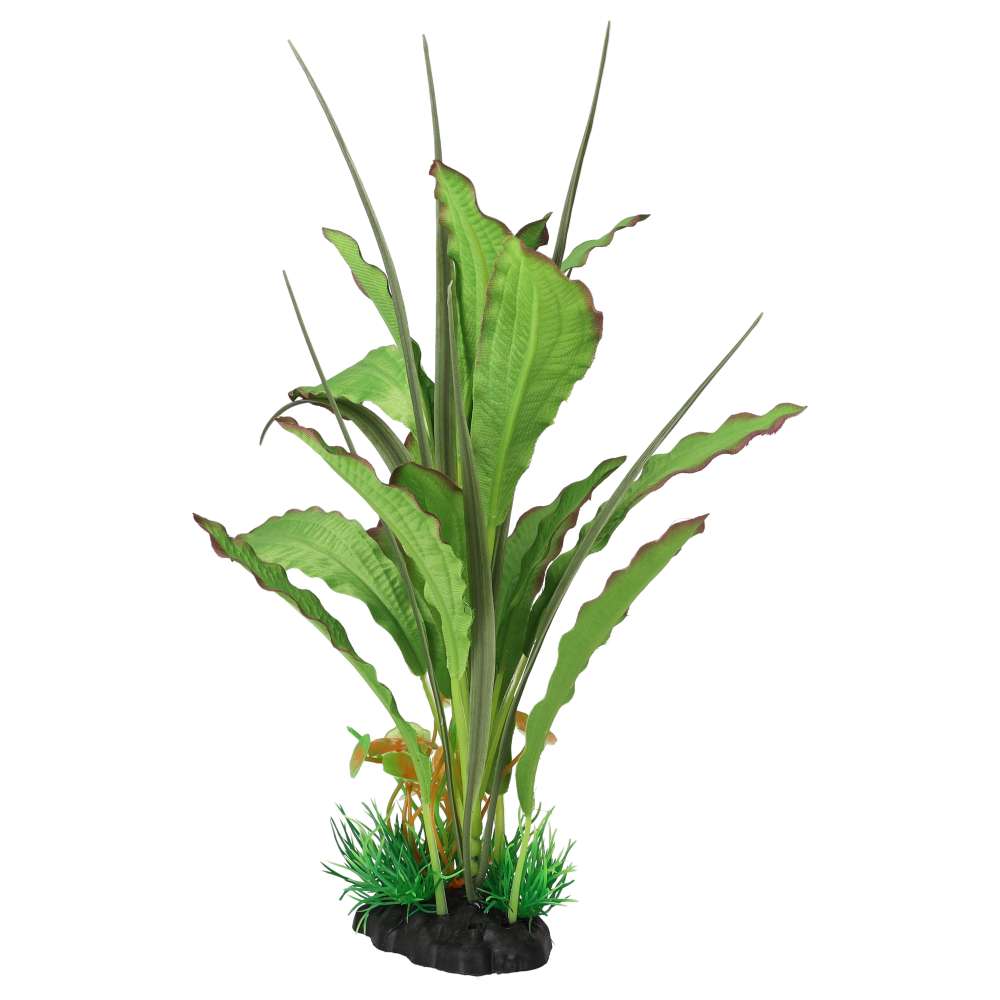 AquaSpectra Narrow Leaf Green