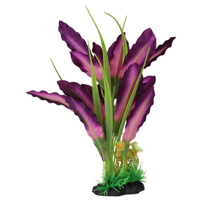 AquaSpectra Sword Leaf Purple