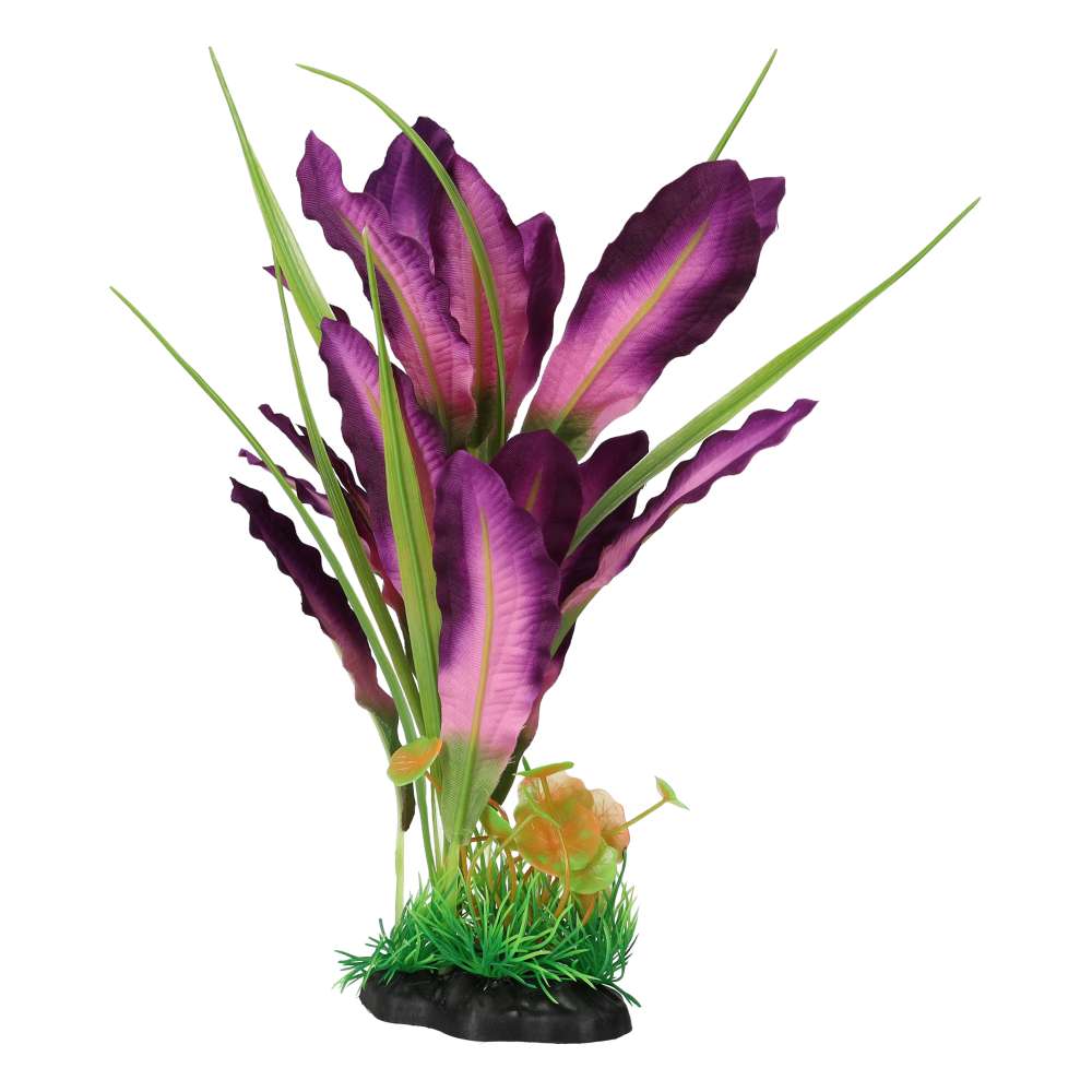 AquaSpectra Sword Leaf Purple