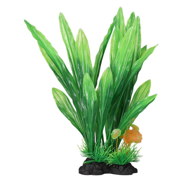 AquaSpectra Amazon Sword Leaf