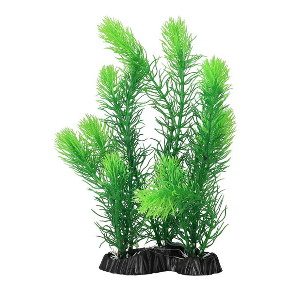 AquaSpectra Myrio