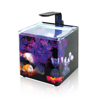YauBay Desktop Aquarium 8L Cube Tank 20x20x20cm