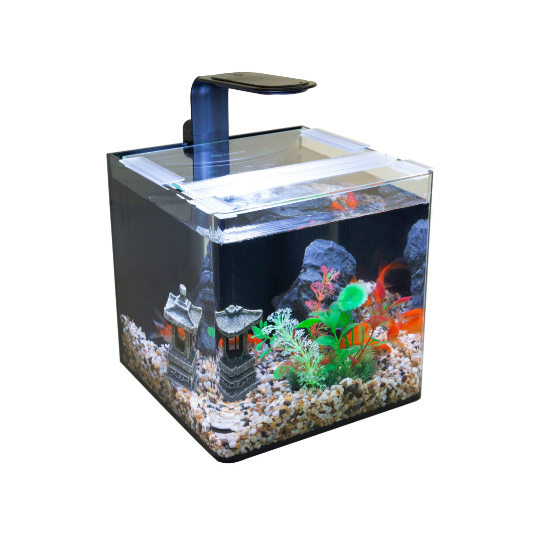 YauBay Desktop Aquarium 8L Cube Tank 20x20x20cm