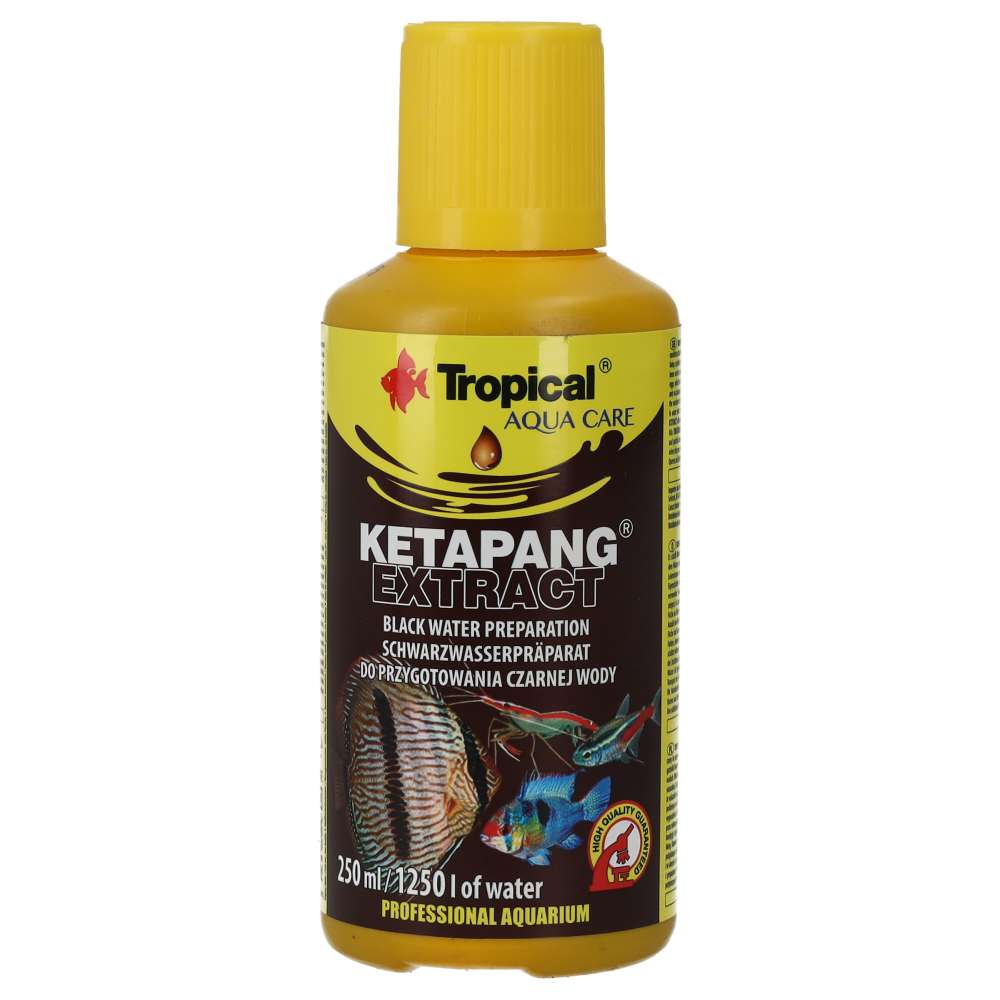 Tropical Ketapang Extract