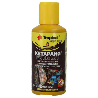 Tropical Ketapang Extract