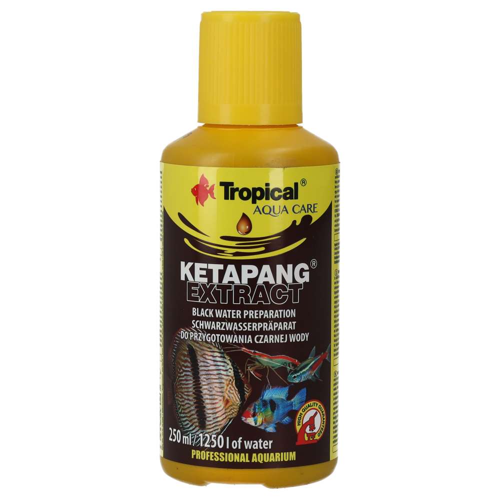 Tropical Ketapang Extract