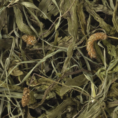 Tropifit Naturals Narrowleaf Plantain 100g Dried Herb