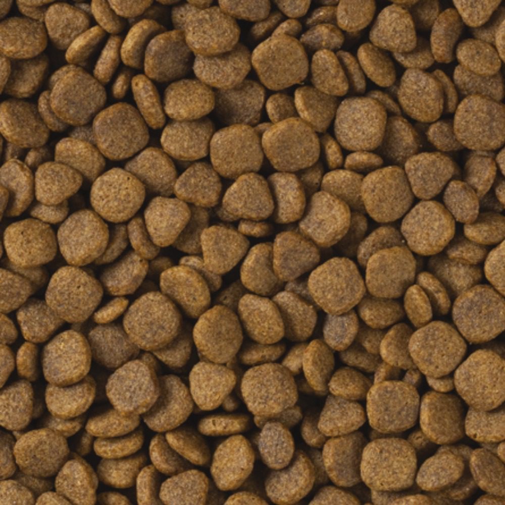 Tropifit Premium Ferret 400g