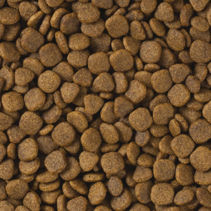 Tropifit Premium Ferret 400g