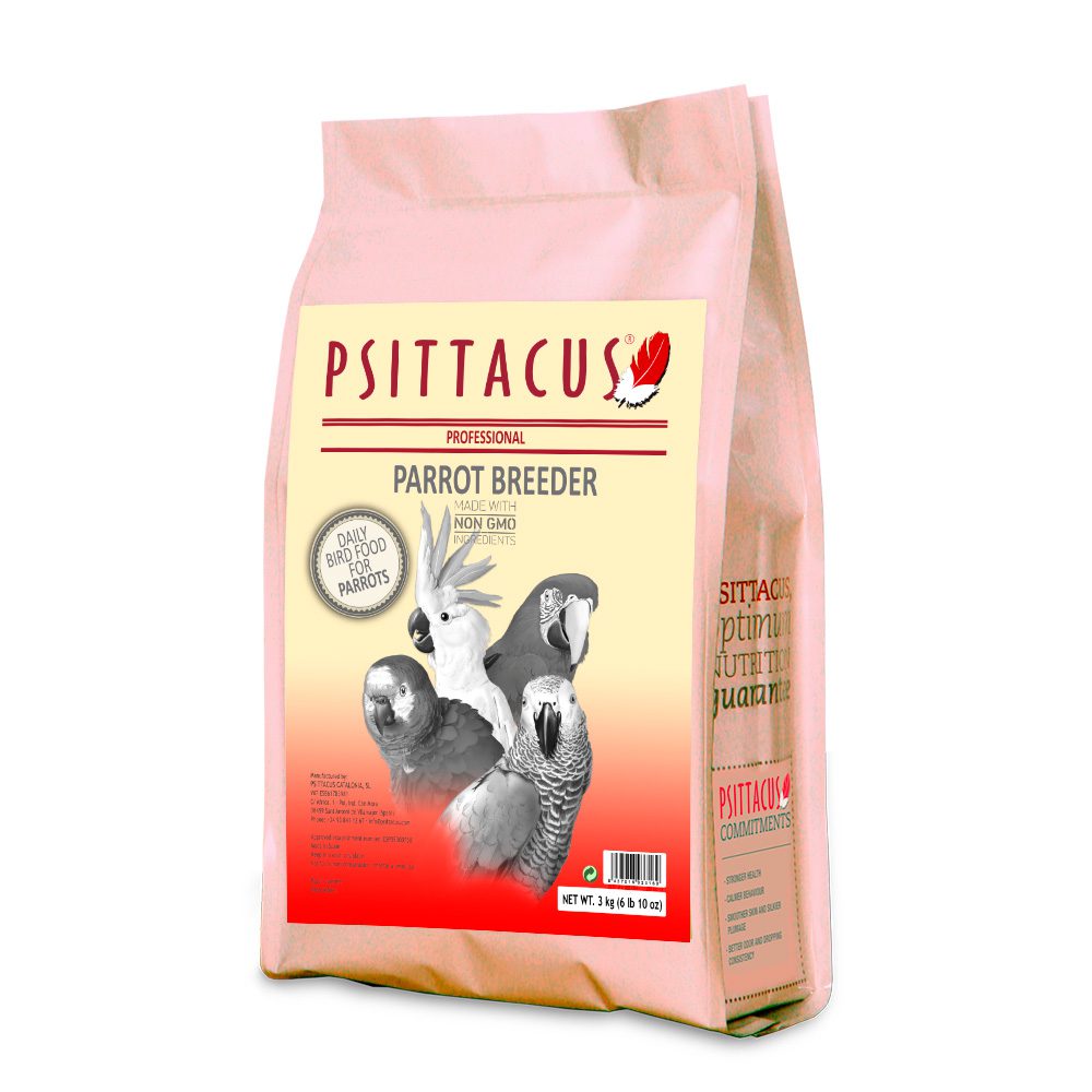 Psittacus Parrot Breeder