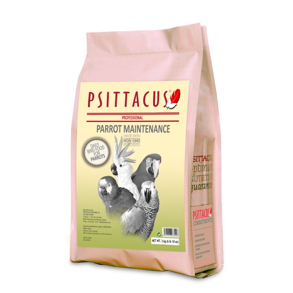 Psittacus Parrot Maintenance