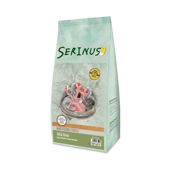 Serinus Wild Birds Hand Feeding