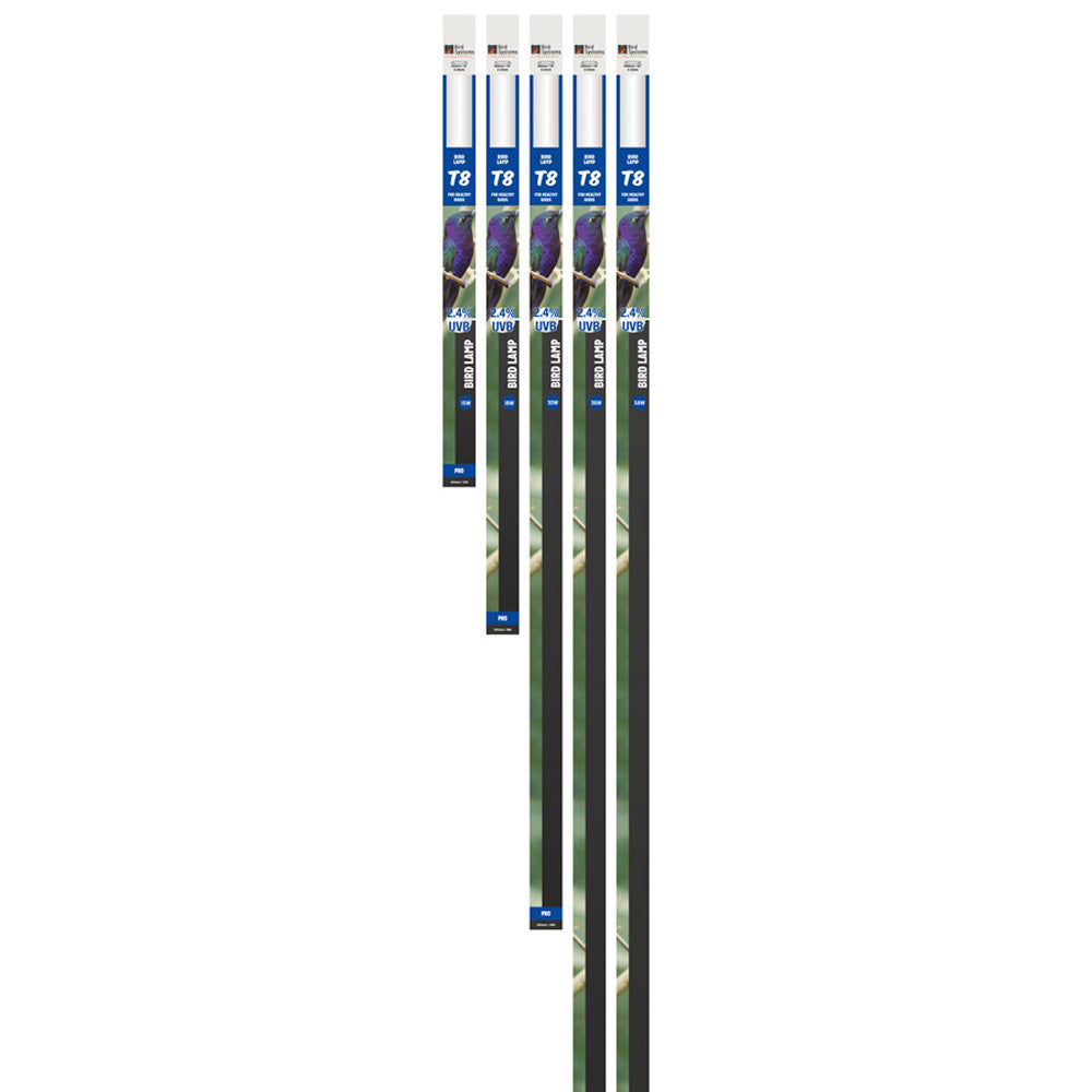 Reptile Systems T8 UVB Lamp Ferguson Zone 1 - 2.4%