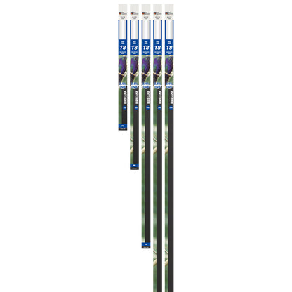 Reptile Systems T8 UVB Lamp Ferguson Zone 1 - 2.4%