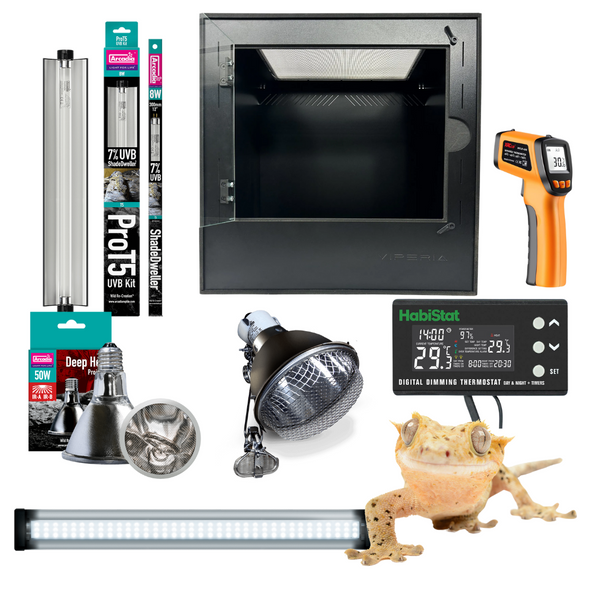 Crested Gecko Kit complete reptile starter kit with PVC vivarium and equipment