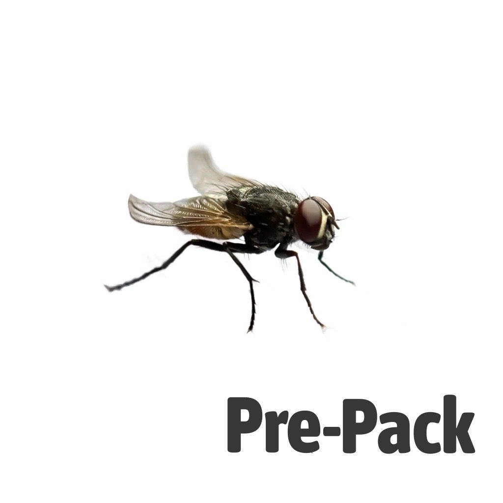 Curly-wing Flies - Pre Pack