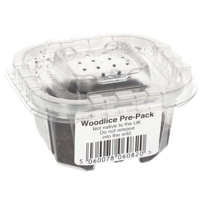 Tropical Grey Woodlice Culture