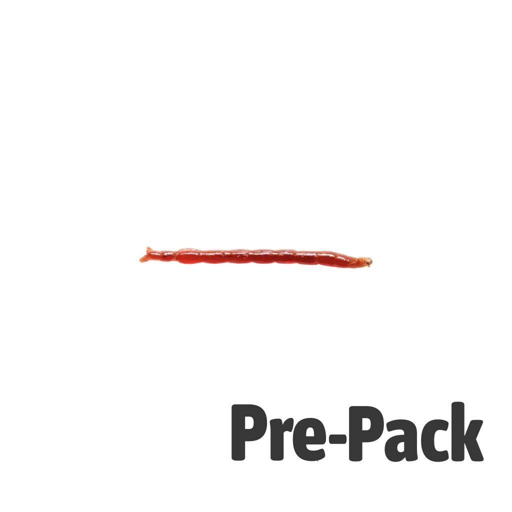 Live Small Bloodworms 100ml