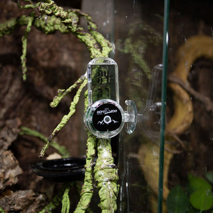 ReptiZoo Digital Thermo-Hygro Suction Cup