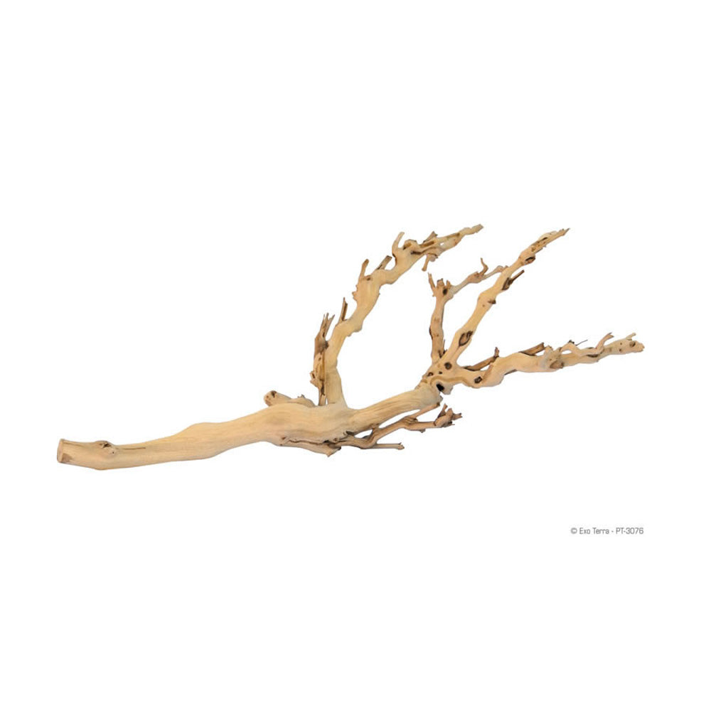 Exo Terra Forest Branch Medium PT3076 | Natural Vivarium Branch
