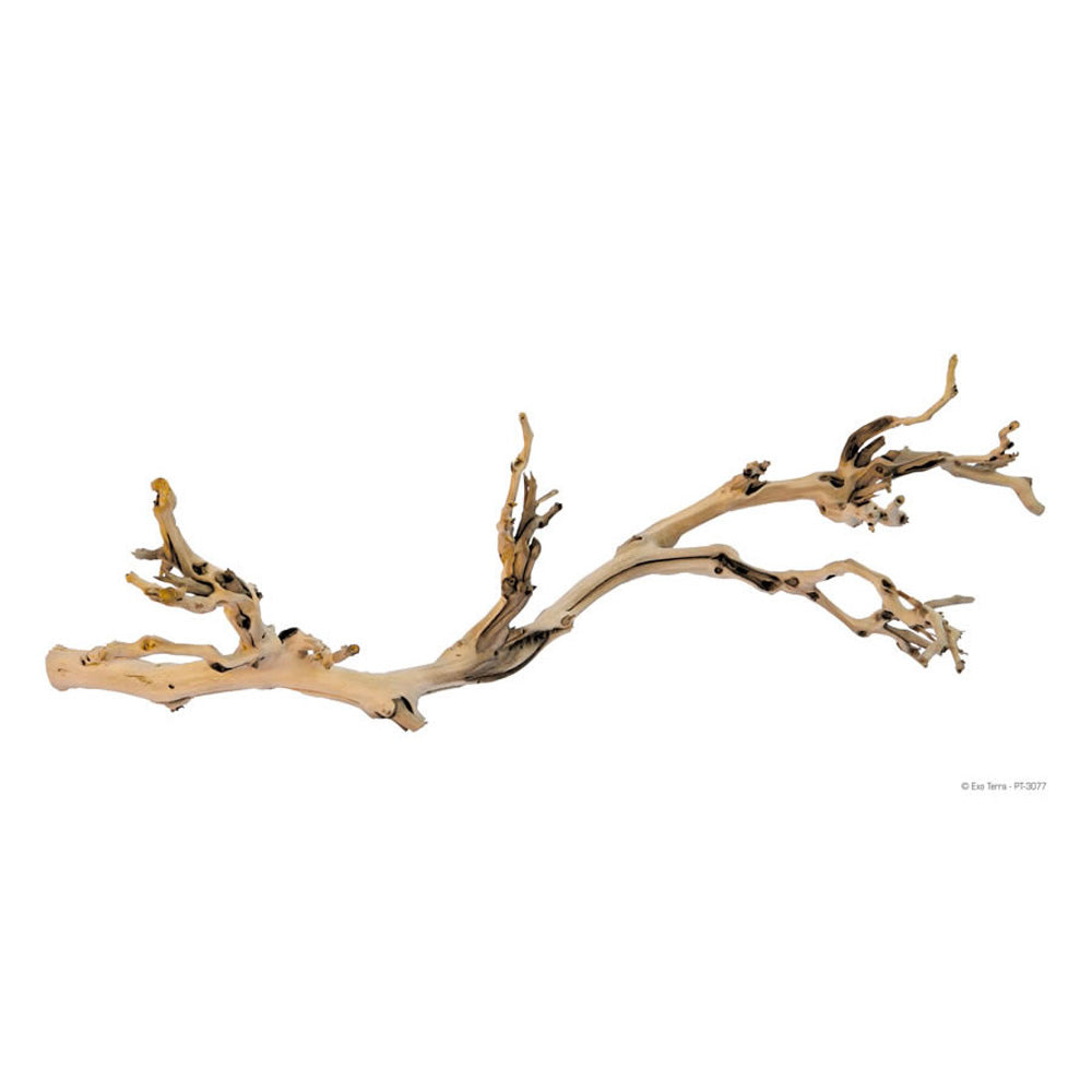 Exo Terra Forest Branch Large PT3077 | Natural Vivarium Branch