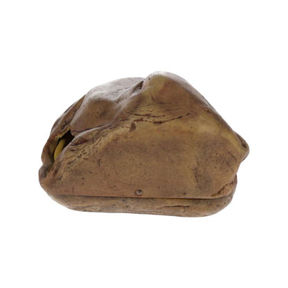 Exo Terra Gecko Cave Large (PT2866) | Resin Hide for Vivarium