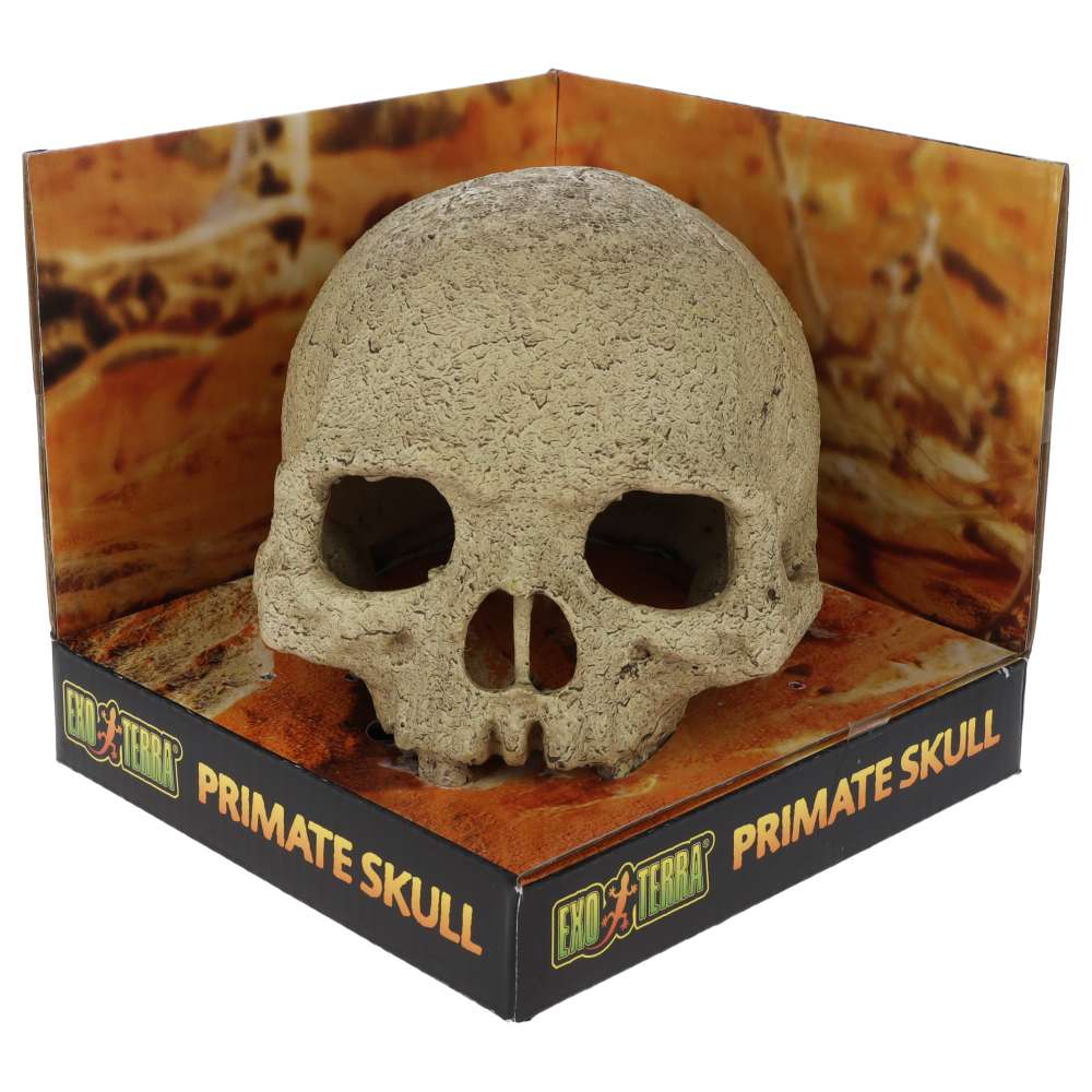Exo Terra Primate Skull Aquarium Ornament - PT2855