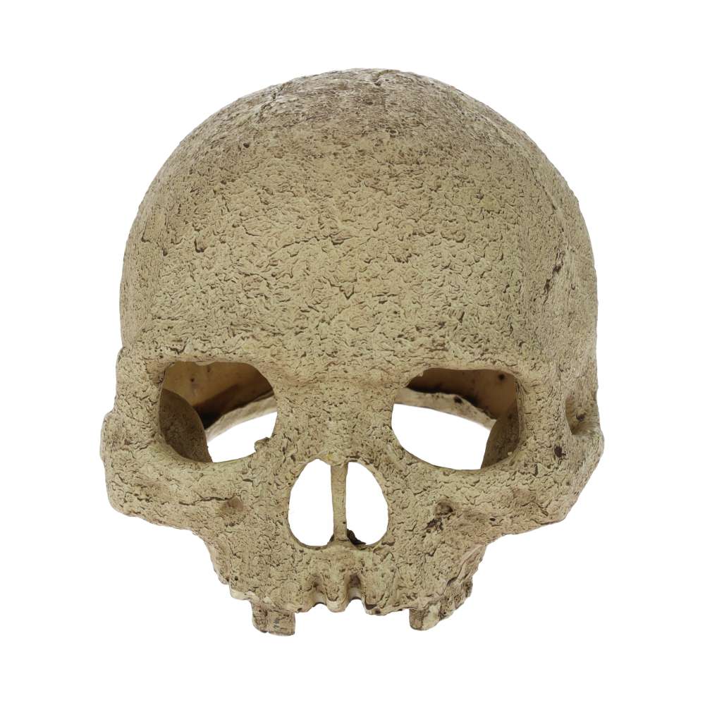 Exo Terra Primate Skull Aquarium Ornament - PT2855