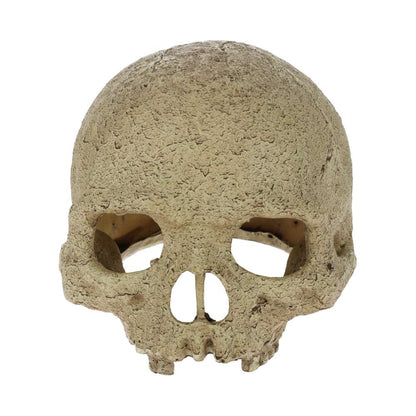 Exo Terra Primate Skull Aquarium Ornament - PT2855