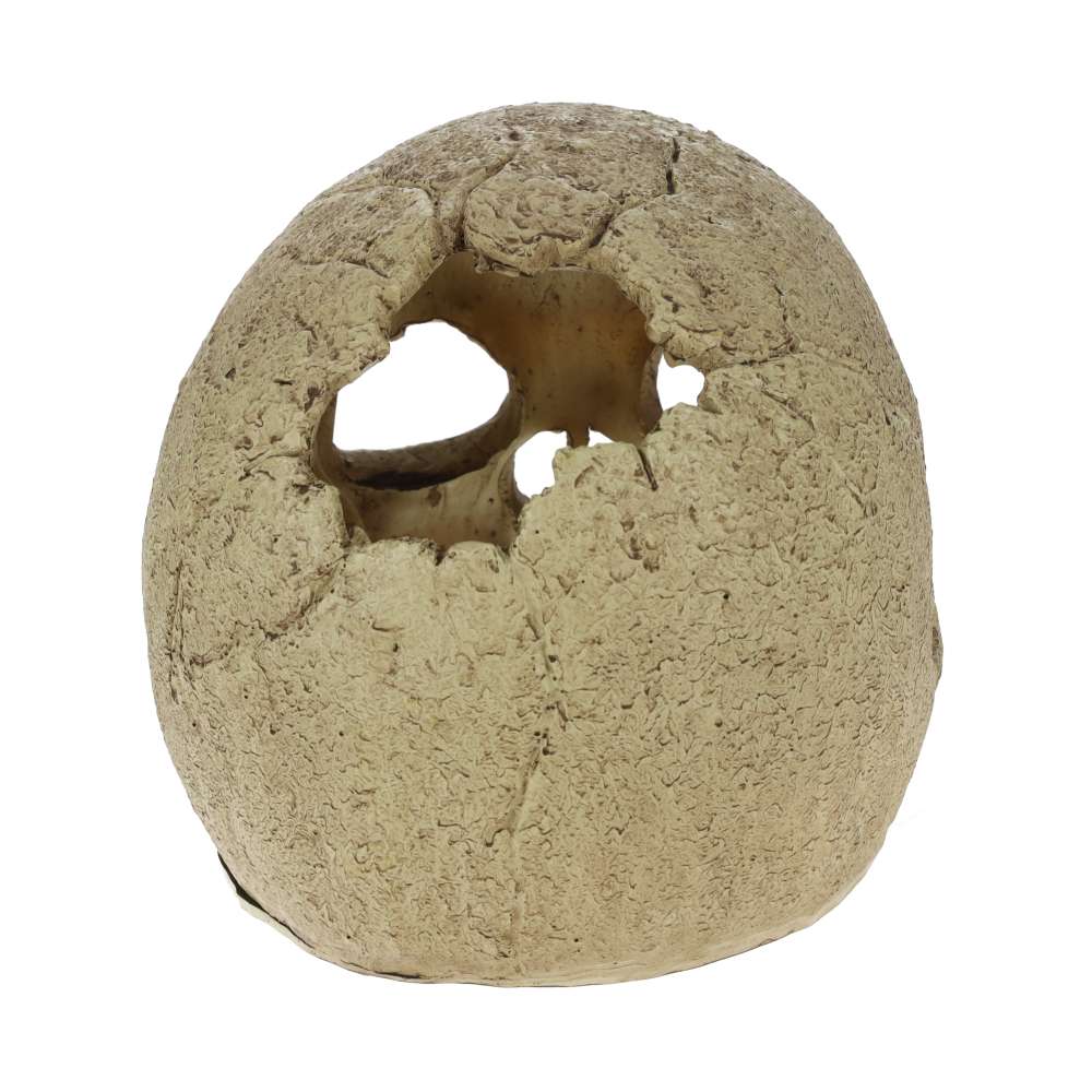 Exo Terra Primate Skull Aquarium Ornament - PT2855