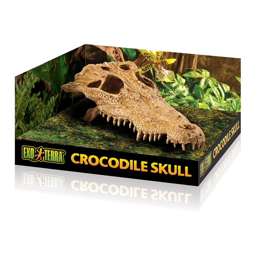 Exo Terra Crocodile Skull Aquarium Ornament | Realistic Fish Tank Décor
