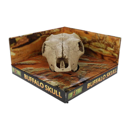 Exo Terra Buffalo Skull Aquarium Ornament – PT2857