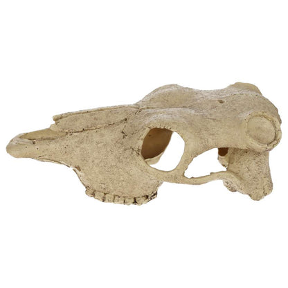Exo Terra Buffalo Skull Aquarium Ornament – PT2857