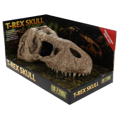 Exo Terra T Rex Skull PT2859 | Aquarium & Terrarium Décor Hide