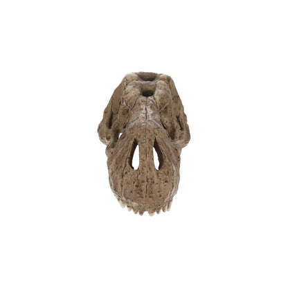 Exo Terra T Rex Skull PT2859 | Aquarium & Terrarium Décor Hide