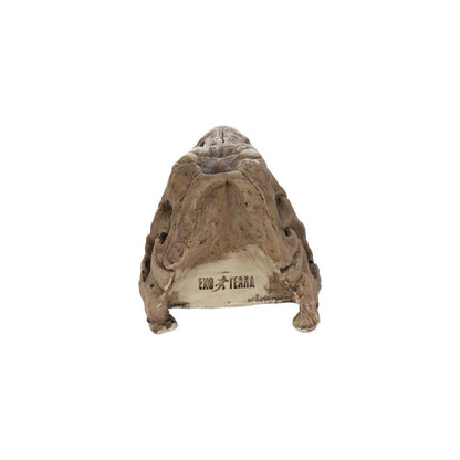 Exo Terra T Rex Skull PT2859 | Aquarium & Terrarium Décor Hide