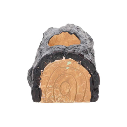 Exo Terra Wet Log Ceramic Hide - Small | Reptile Shedding Hide