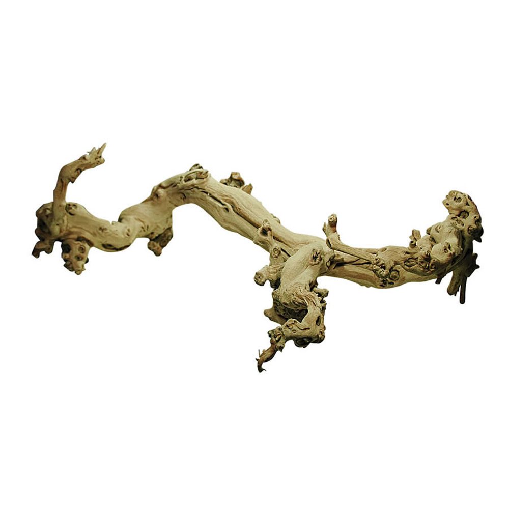Lucky Reptile Sand-blasted Grapevine