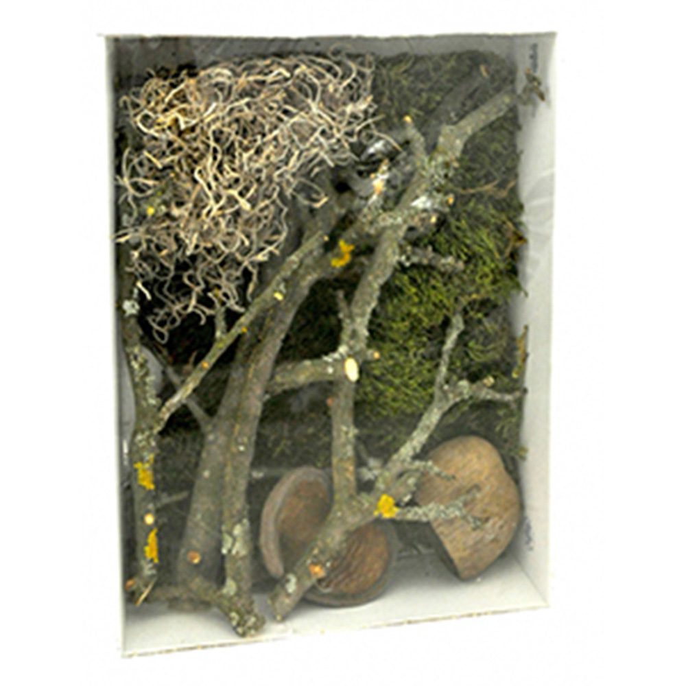 Lucky Reptile Life Experience Deco Set Jungle