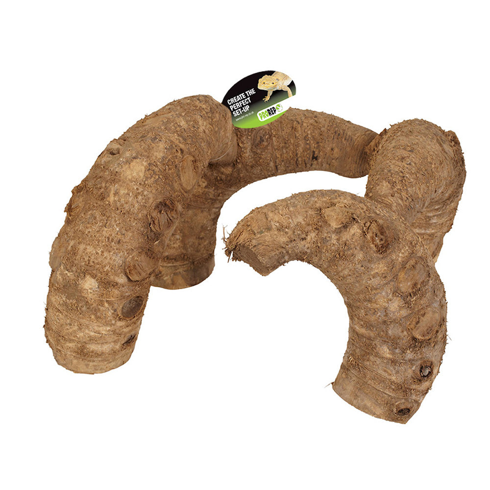 ProRep Bamboo Root Jungle Gym Regular | Natural Vivarium Decor