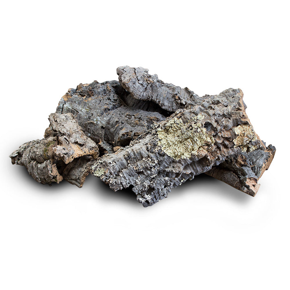 Cork Bark Mixed Pieces 5kg Pack | Natural Vivarium Decoration