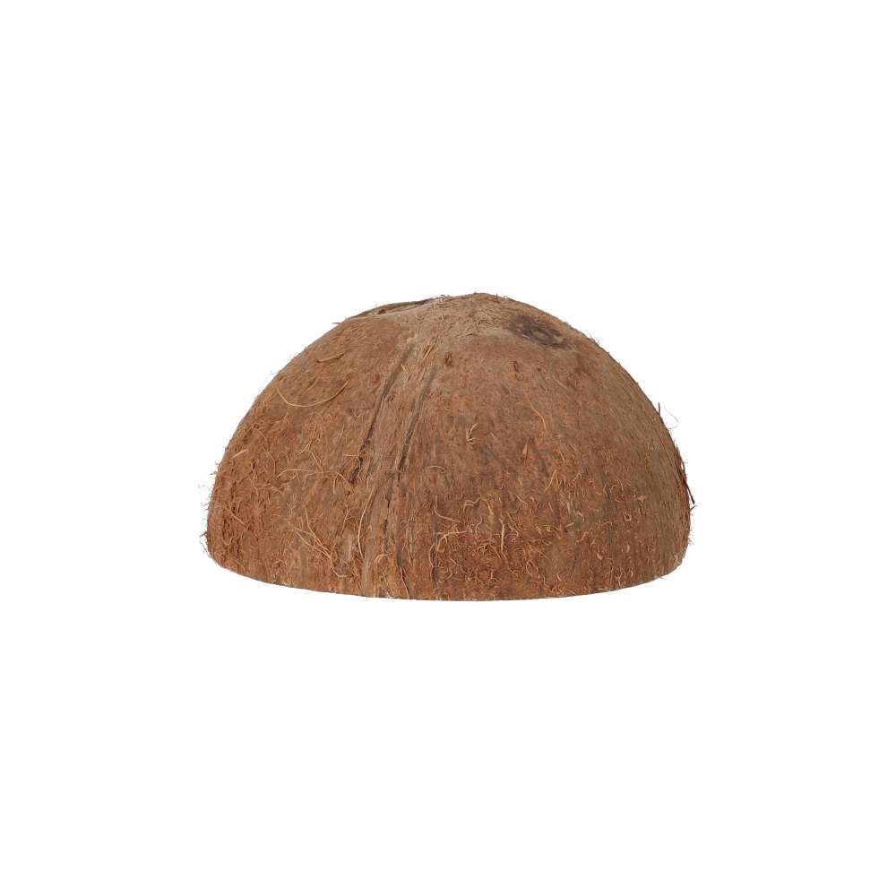 ProRep Coco Dome