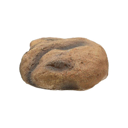 Resin Rock Cave Hide for Reptiles – Medium 22x16x7cm
