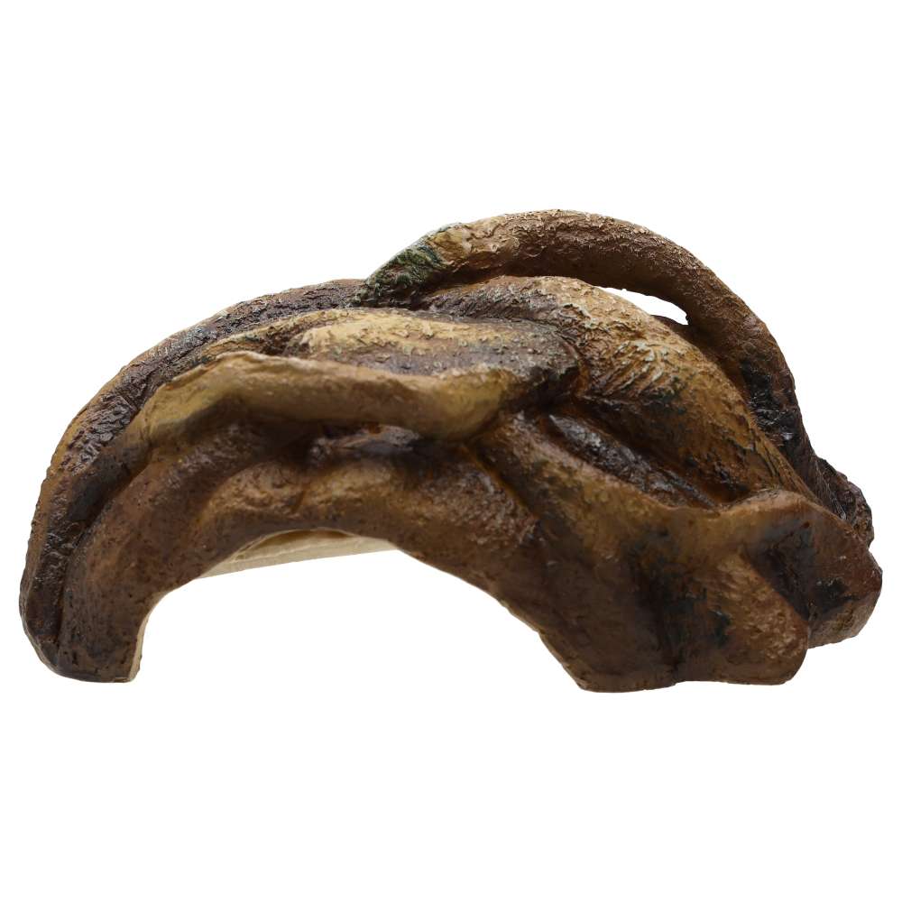 ProRep Resin Root Cave