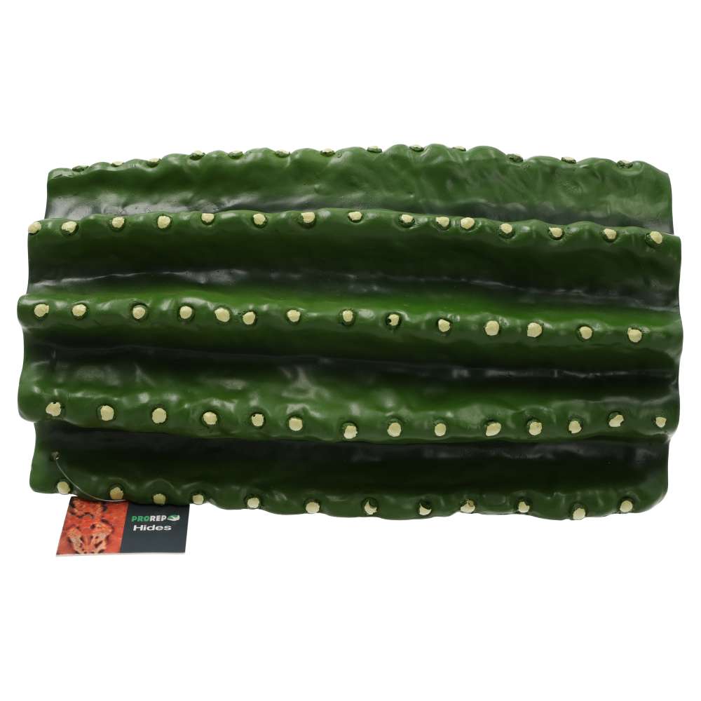 ProRep Resin Cactus Hide