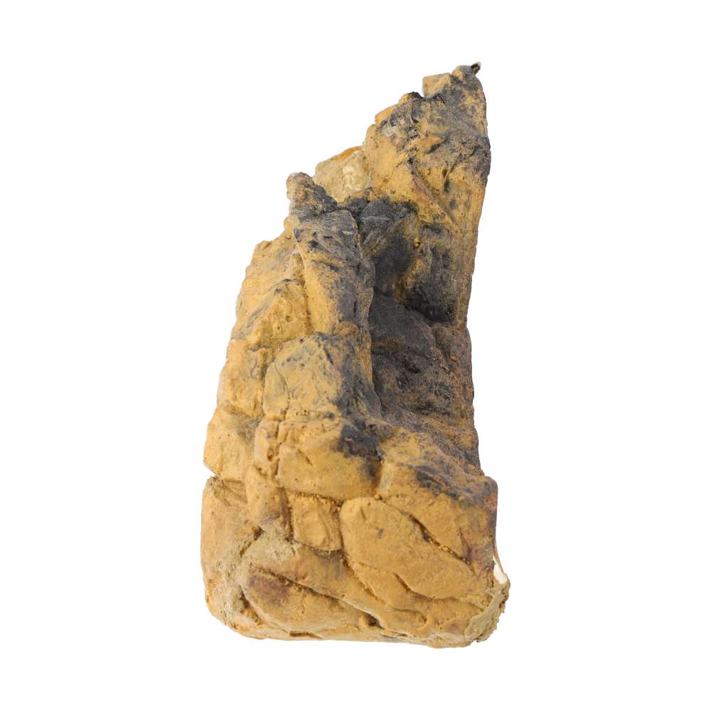 ProRep Reptile Ridge Medium Aquarium Décor 28x19x12.5cm