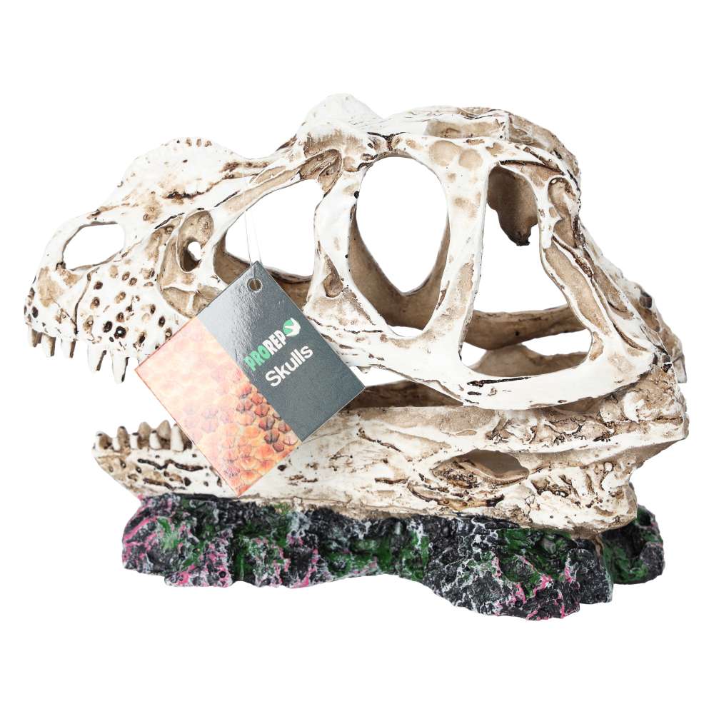 ProRep Resin Ceratosuarus Skull